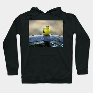 thirsty goldfinch... Hoodie